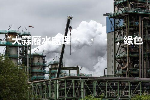 “大蒜廢水處理，綠色環(huán)保新篇章”